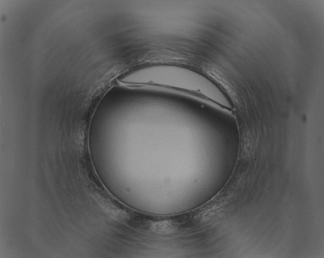 X0000089660309200707121205