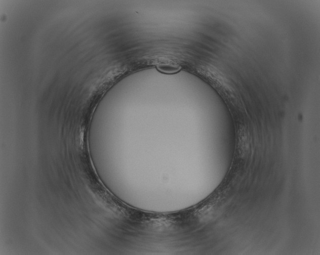 X0000089660310200707121205