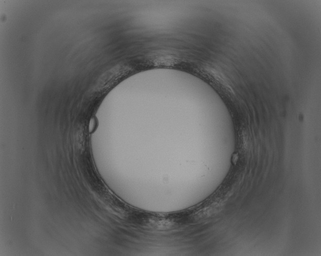 X0000089660311200707121205