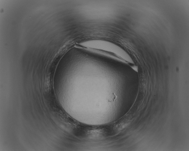 X0000089660312200707121205