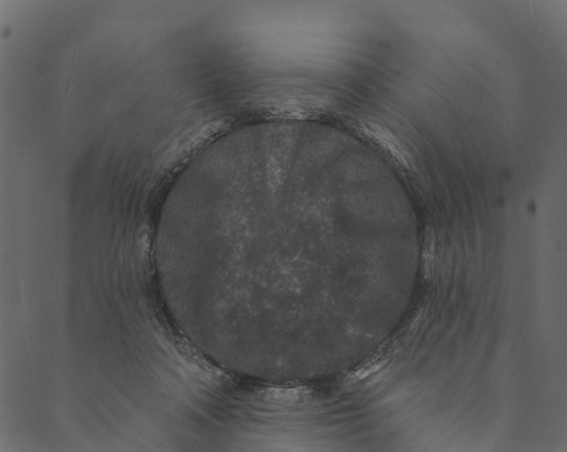 X0000089660314200707121205