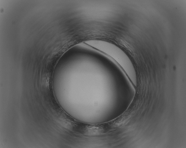 X0000089660315200707121205