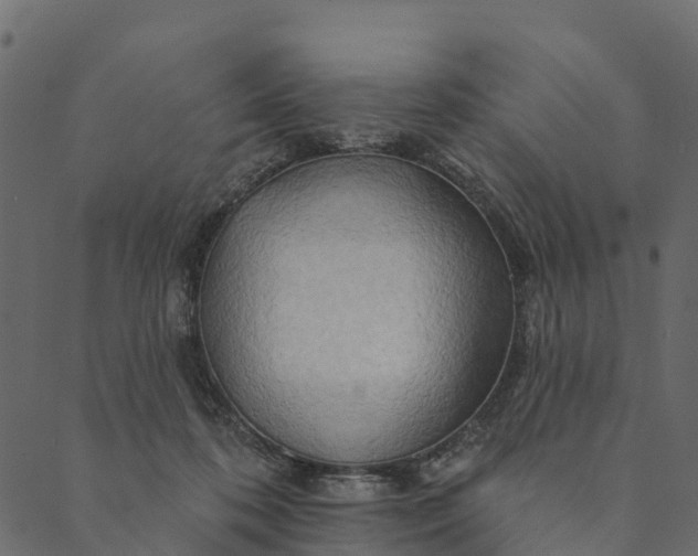 X0000089660316200707121205