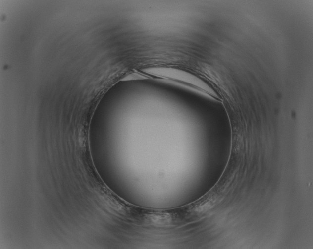 X0000089660317200707121205