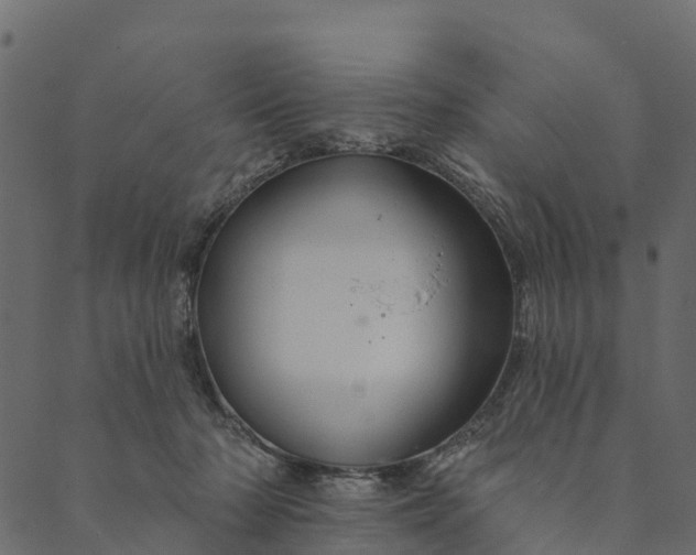 X0000089660318200707121205