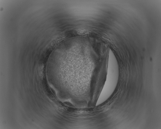 X0000089660319200707121205