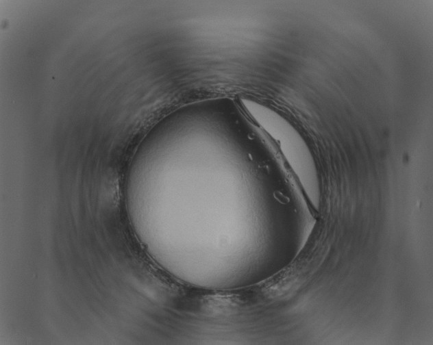 X0000089660320200707121205