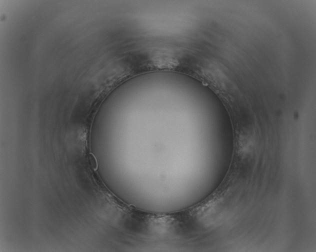 X0000089660321200707121205