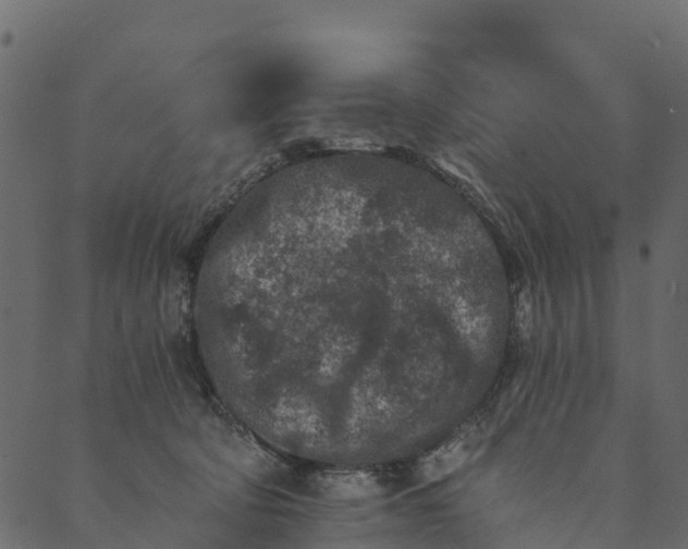 X0000089660322200707121205