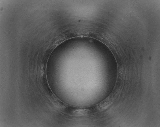 X0000089660323200707121205