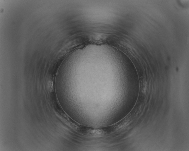 X0000089660324200707121205