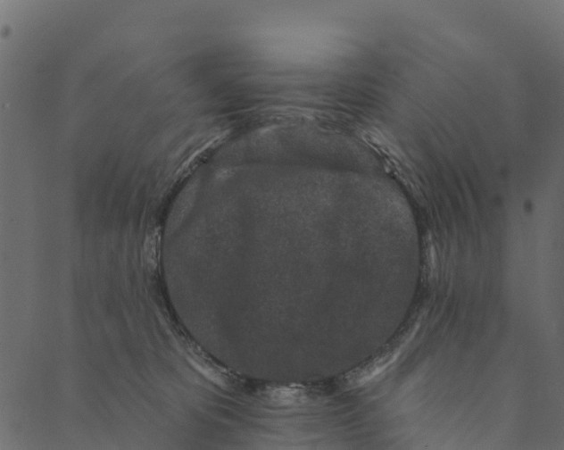 X0000089660325200707121205