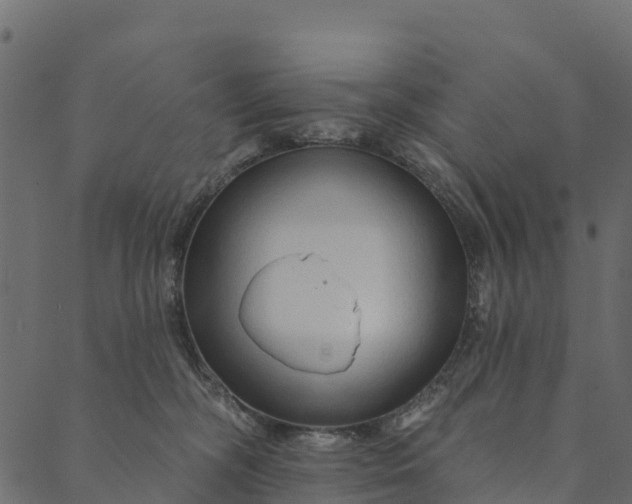 X0000089660326200707121205