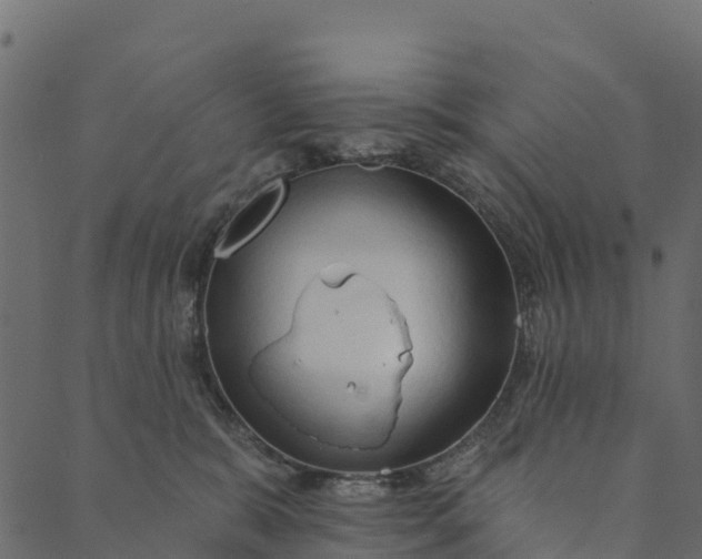 X0000089660327200707121205