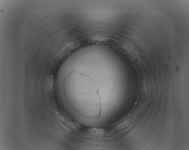 X0000089660328200707121205