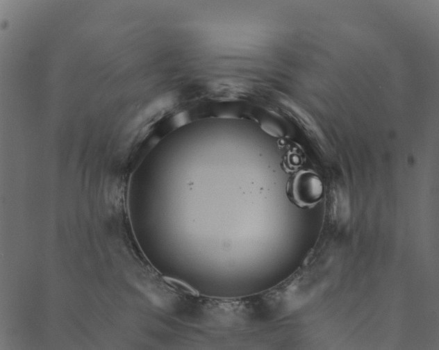 X0000089660329200707121205