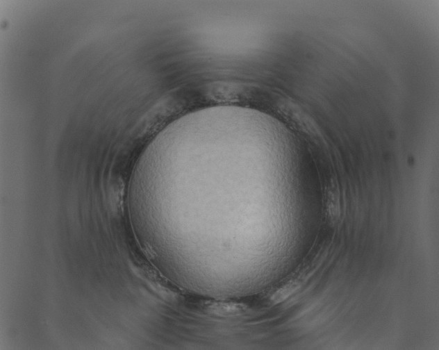 X0000089660332200707121205