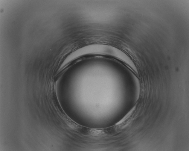 X0000089660333200707121205