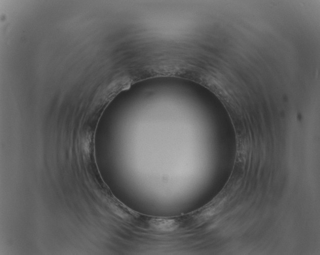 X0000089660334200707121205