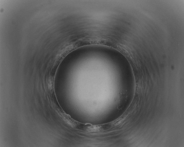 X0000089660335200707121205