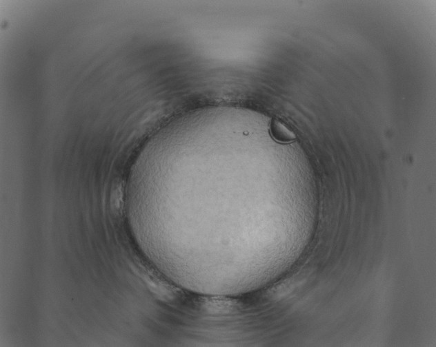 X0000089660336200707121205