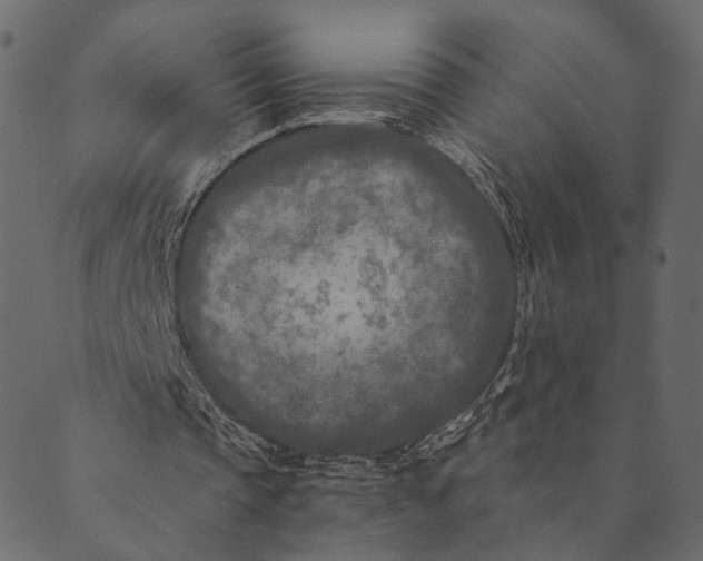 X0000089660337200707121204