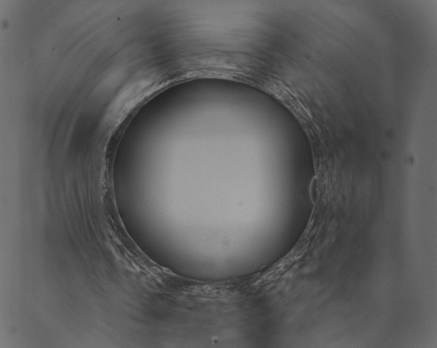 X0000089660338200707121204