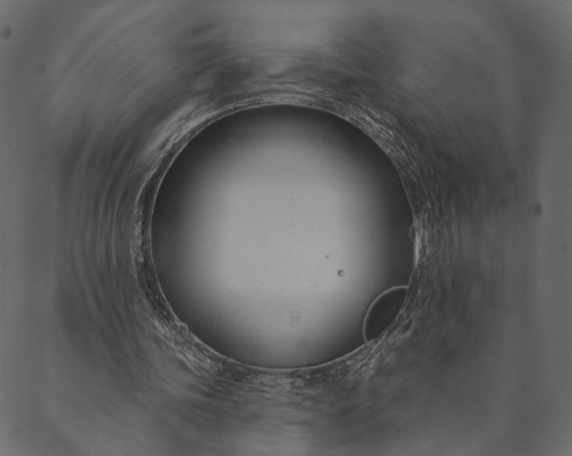 X0000089660339200707121204