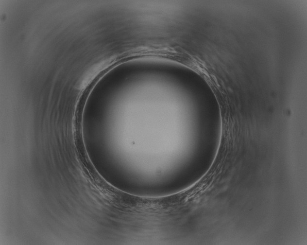 X0000089660340200707121204