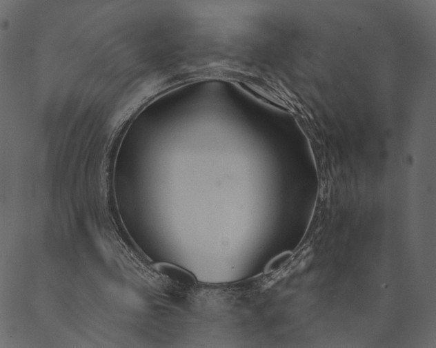 X0000089660341200707121204