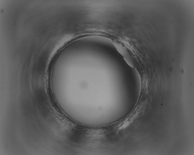 X0000089660342200707121204