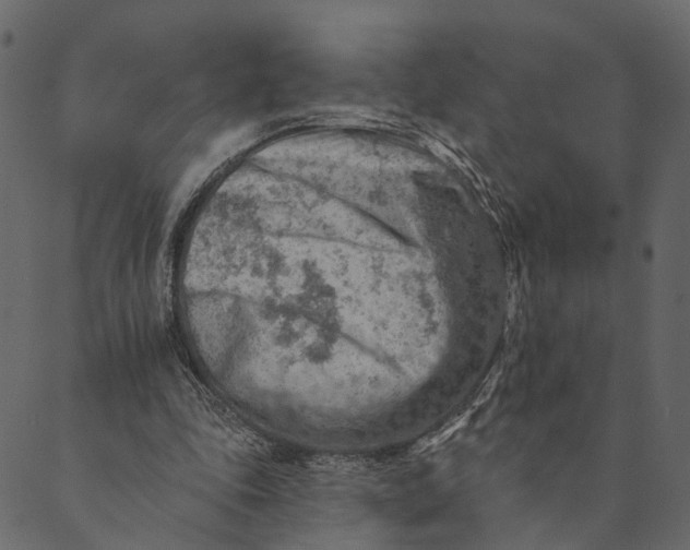 X0000089660343200707121204