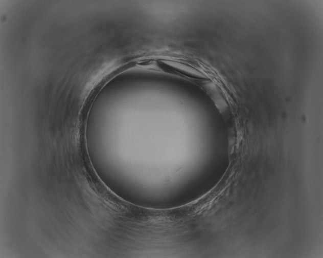 X0000089660344200707121204