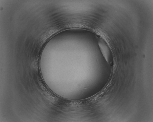 X0000089660345200707121204