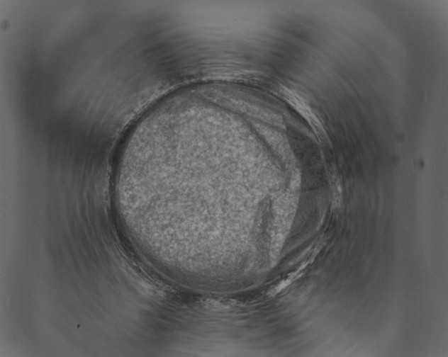 X0000089660346200707121204