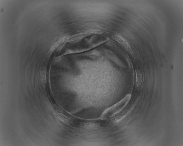 X0000089660348200707121204