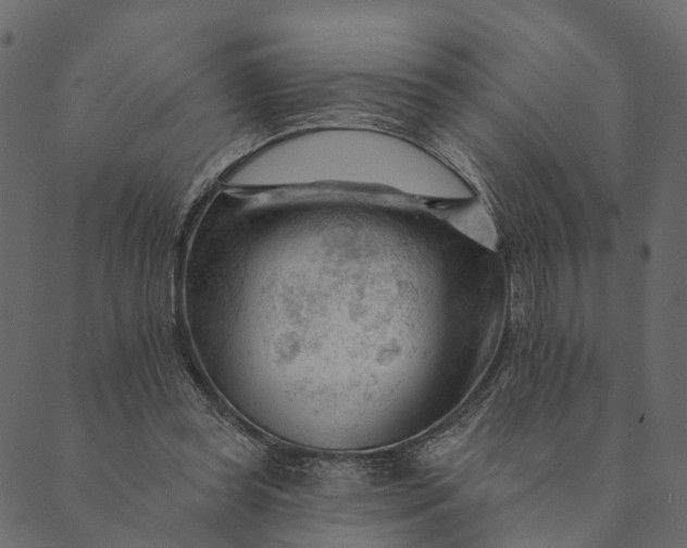 X0000089660349200707121204