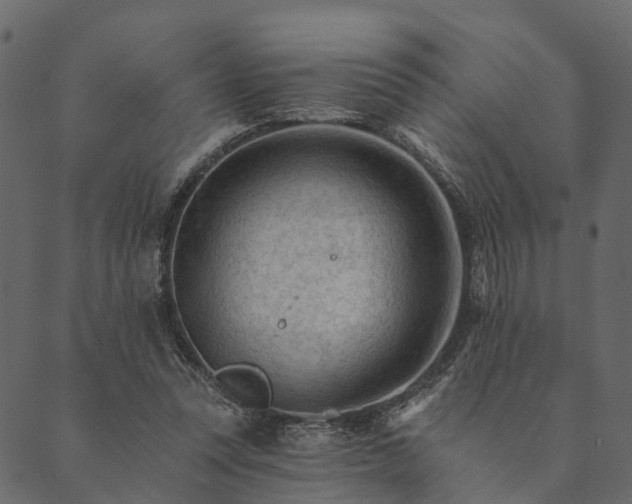 X0000089660351200707121204