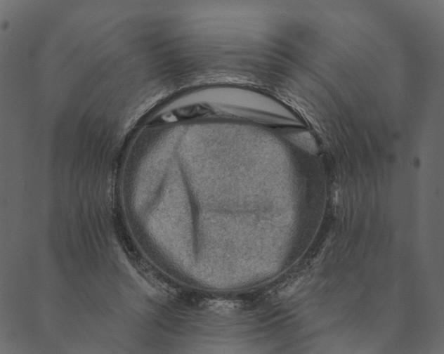 X0000089660352200707121204