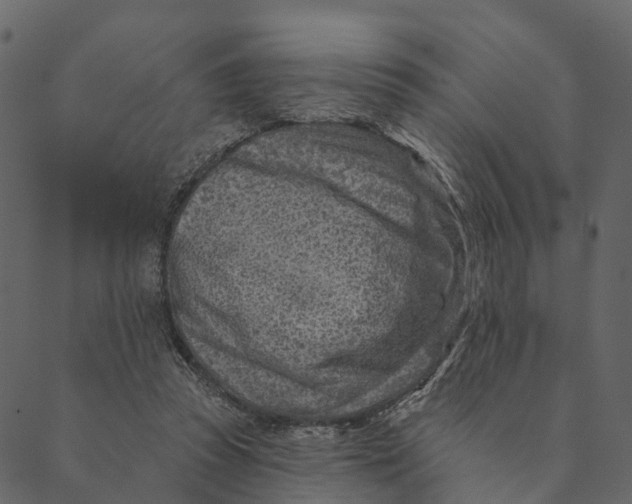 X0000089660353200707121204