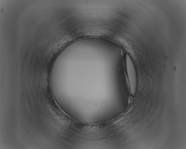 X0000089660354200707121204