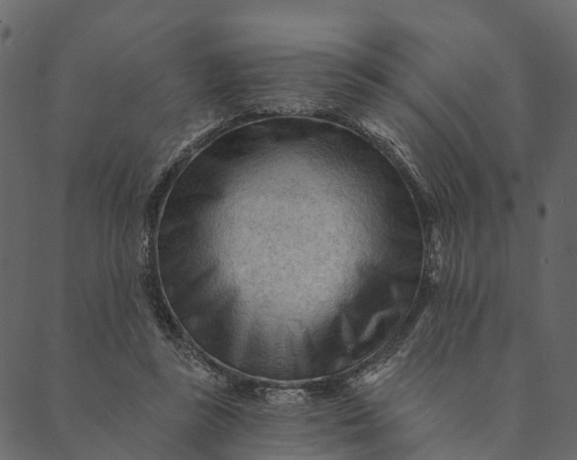 X0000089660355200707121204