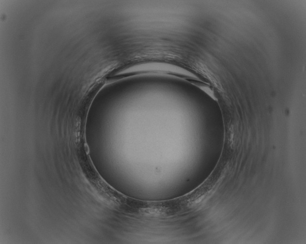 X0000089660356200707121204