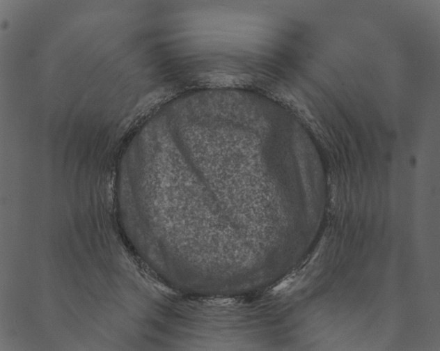 X0000089660357200707121204