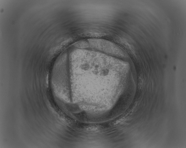 X0000089660358200707121204