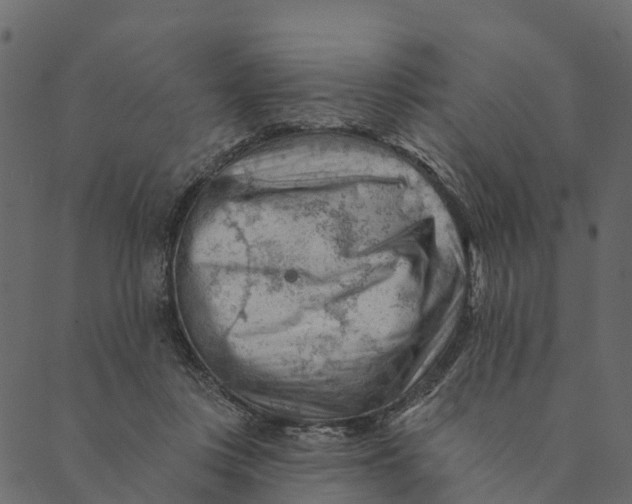 X0000089660359200707121204