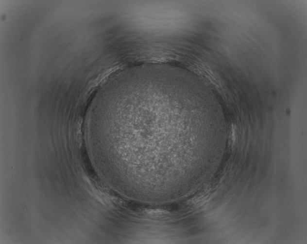 X0000089660360200707121205