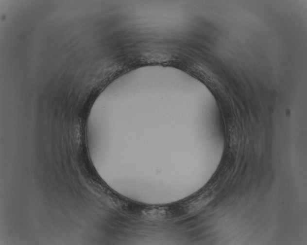 X0000089660362200707121205