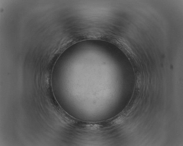 X0000089660363200707121205