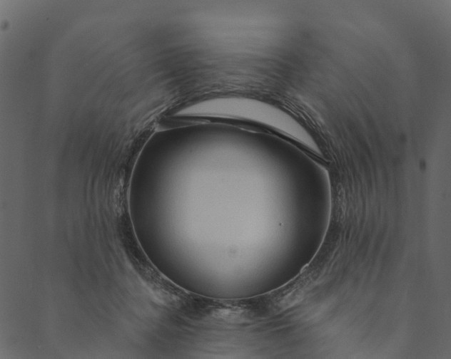 X0000089660364200707121205